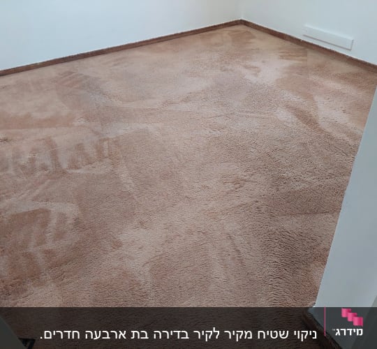 שטיח חום נקי עם סימני ניקוי ברורים